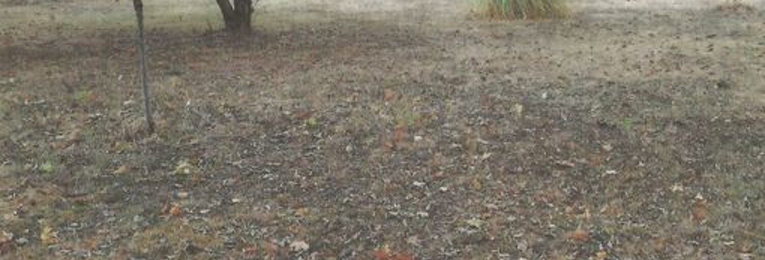 Maison 7 Pièces 147 m² à louer à Pibrac (31820)