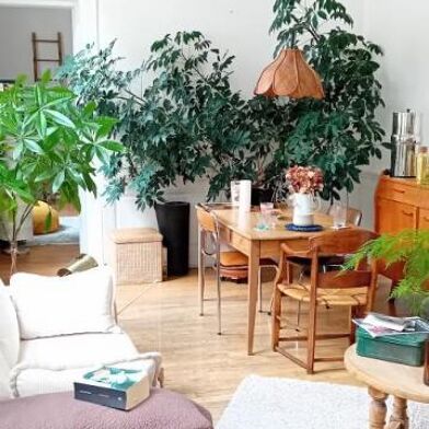 Appartement 4 pièces 790 €