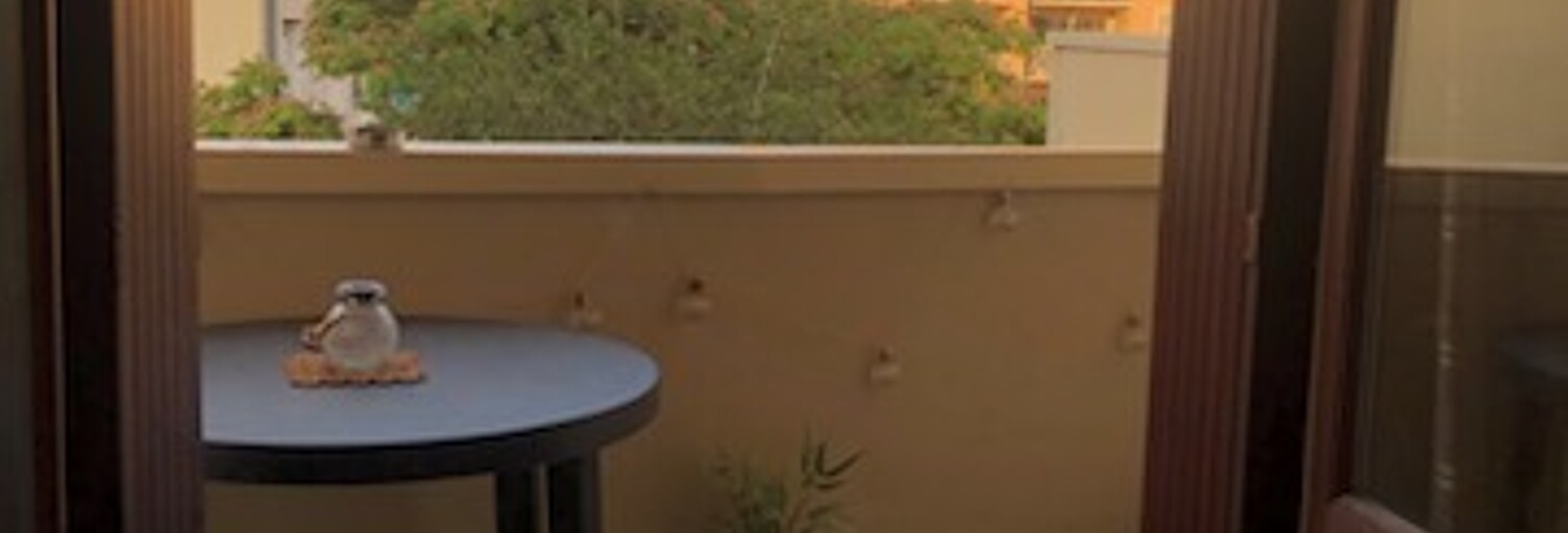 Appartement 1 Pièce 24 m² à louer à Cahors (46000)