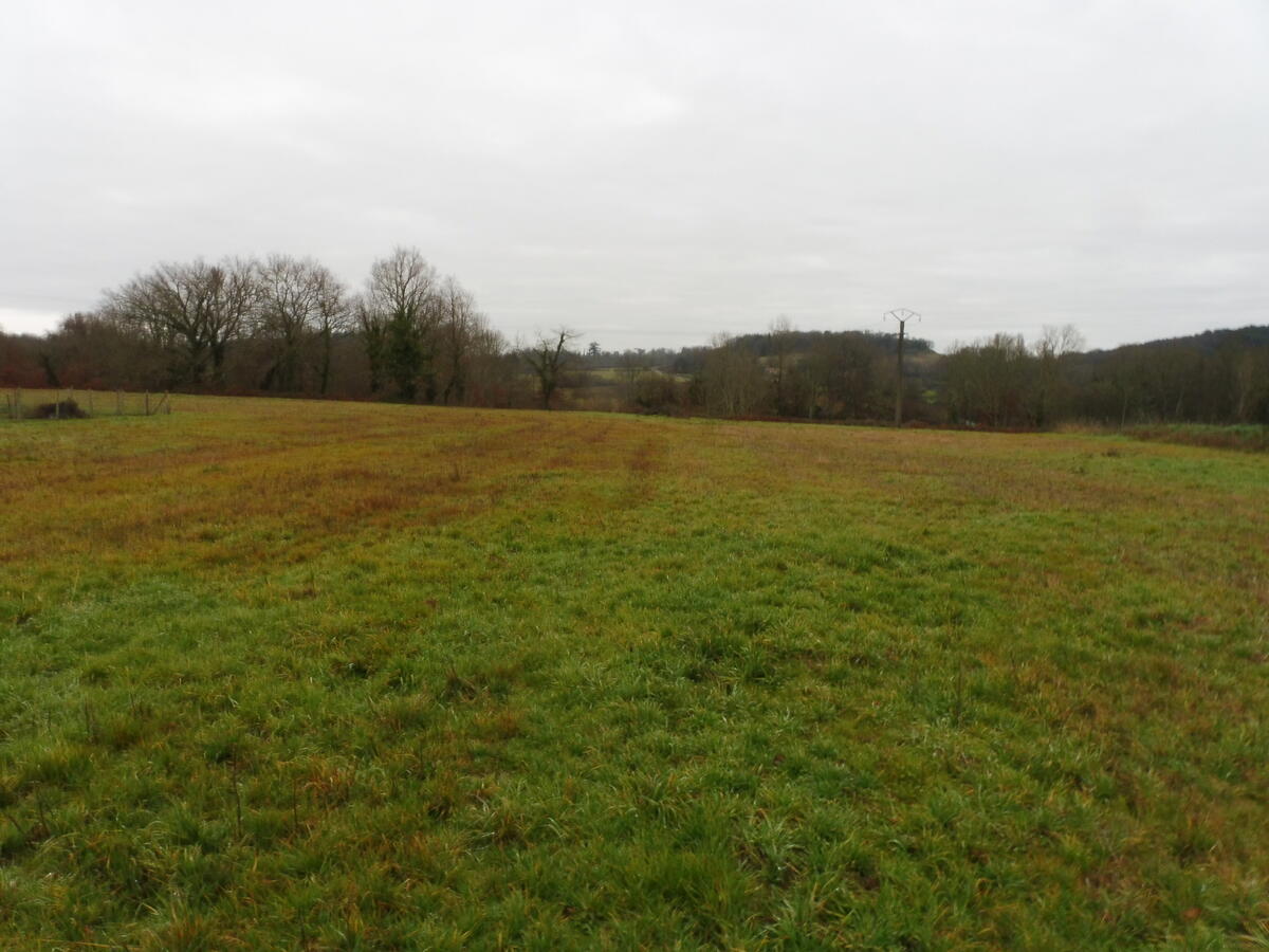 Terrain  à vendre Montpeyroux 24610