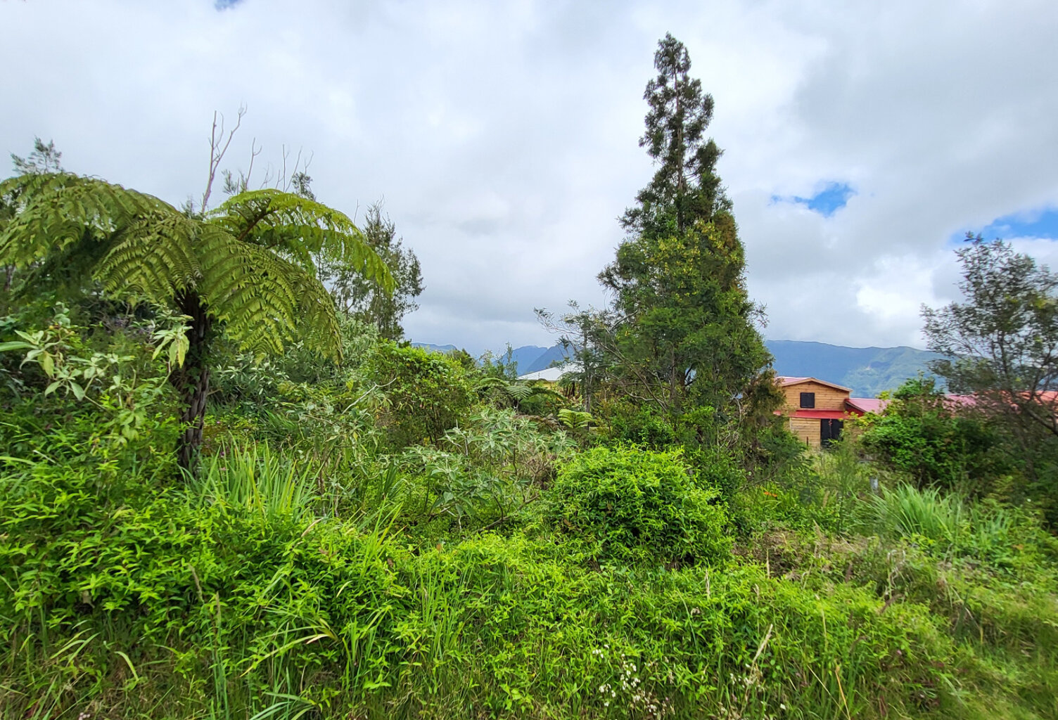 TERRAIN CONSTRUCTIBLE PLAINE DES PALMISTES — photo 1