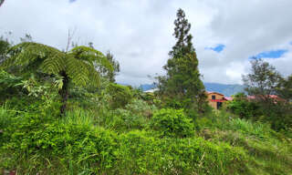 Terrain  750 m² à vendre à La Plaine-des-Palmistes (97431)