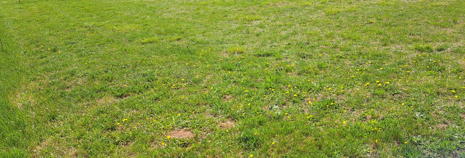 Terrain 693 m² à construire Aubignosc (04200)