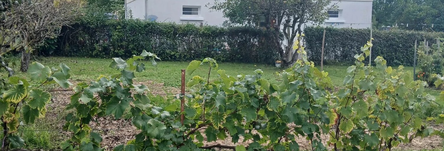 Maison 4 Pièces 79 m² à vendre à Cercy-la-Tour (58340)