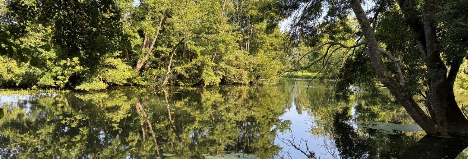 Terrain  1049 m² à vendre à Bonneval (28800)