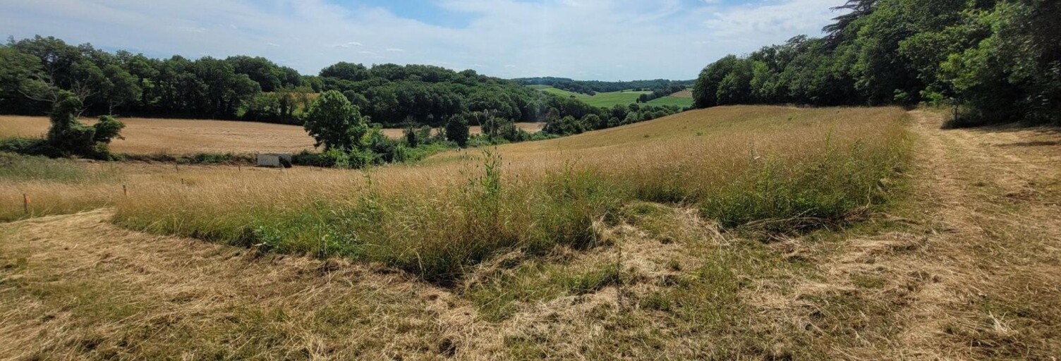 Terrain  2541 m² à vendre à Vic-Fezensac (32190)