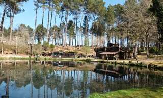 Maison 4 Pièces 81 m² à vendre à Villandraut (33730)