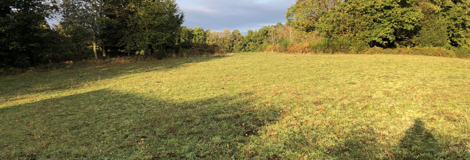 Terrain 480 m² à construire Barentin (76360)