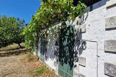 Maison 9 pièces 300000 €