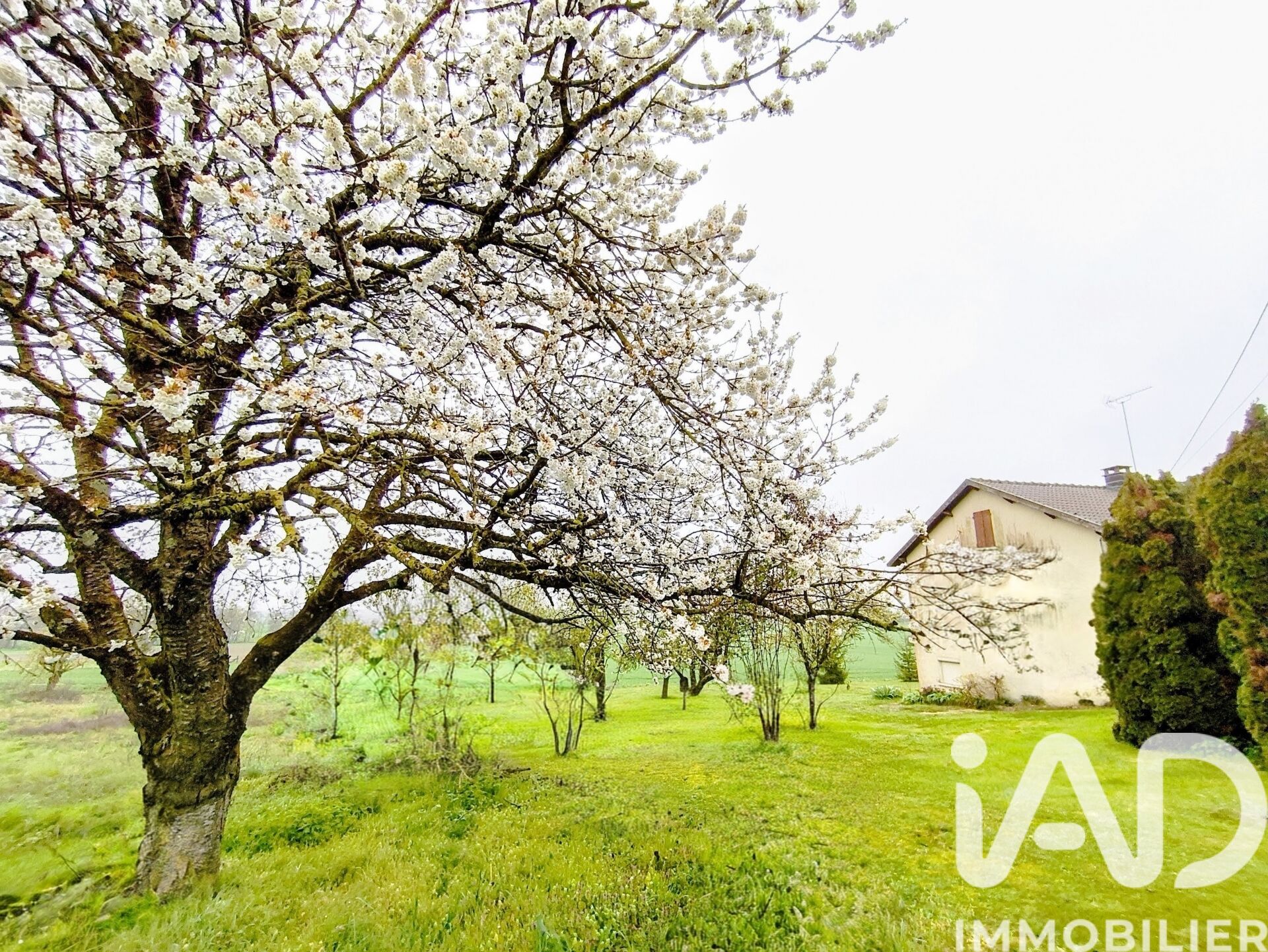 Maison à vendre, 5 pièces, 114 m², Chavanges