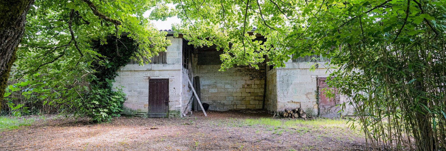 Maison 12 Pièces 350 m² à vendre à Saint-Denis-de-Pile (33910)