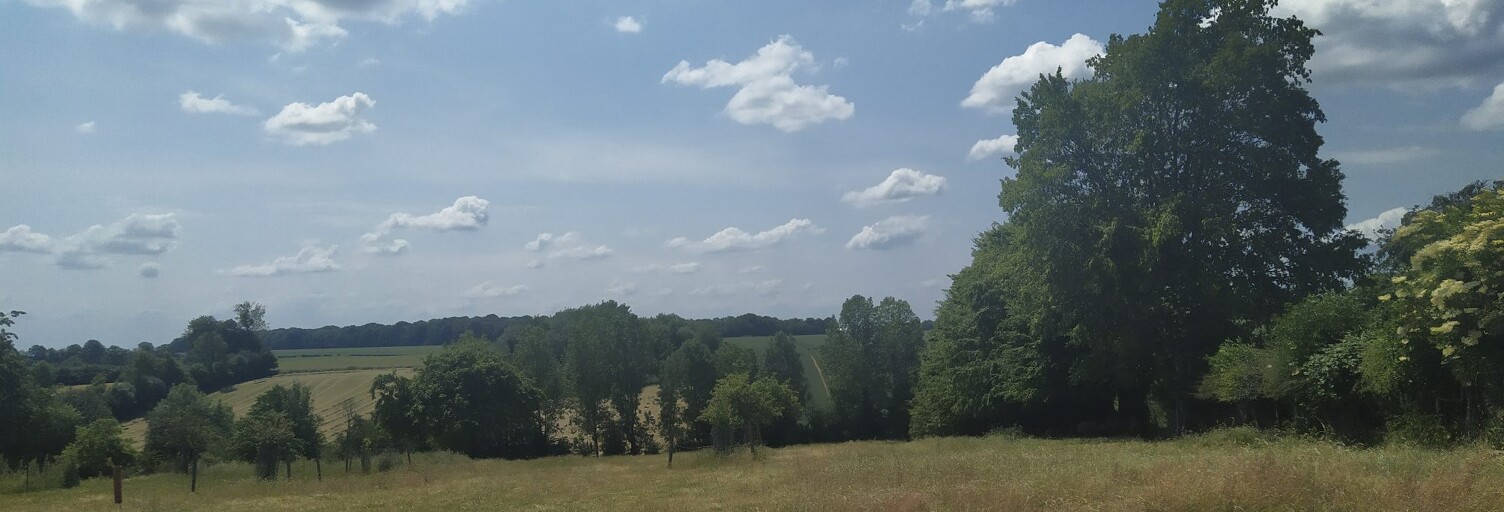 Terrain  1039 m² à vendre à Songeons (60380)