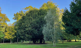 Appartement 1 Pièce 13 m² à vendre à Meudon (92190)