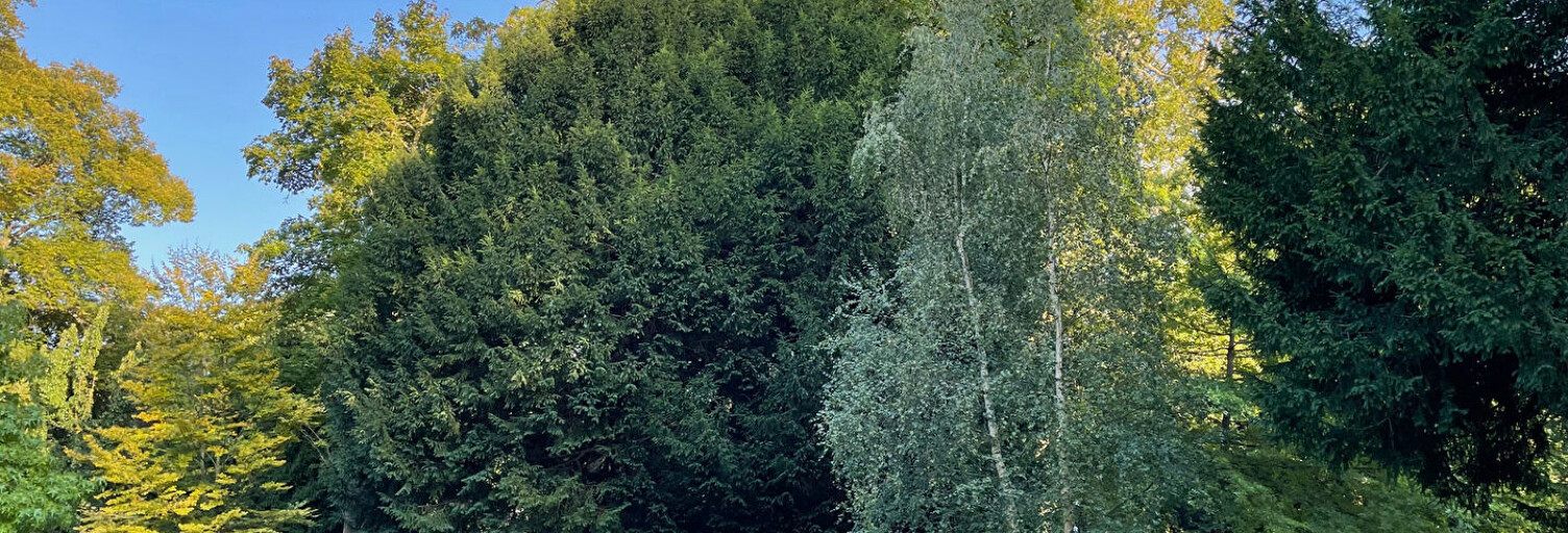 Appartement 1 Pièce 13 m² à vendre à Meudon (92190)