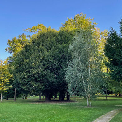 Appartement 1 pièces 78000 €