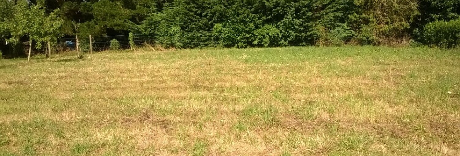 Terrain  665 m² à vendre à Bourg (33710)