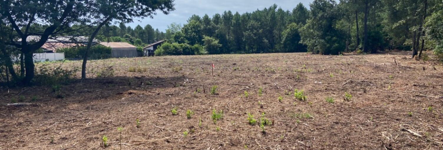 Terrain  655 m² à vendre à Mimizan (40200)