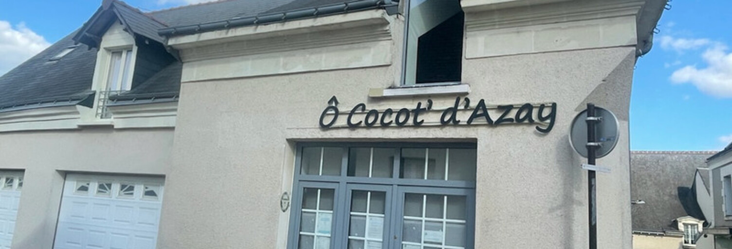 Local industriel 3 Pièces 90 m² à louer à Azay-sur-Cher (37270)