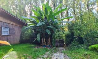 Maison 4 Pièces 50 m² à vendre à Chalifert (77144)