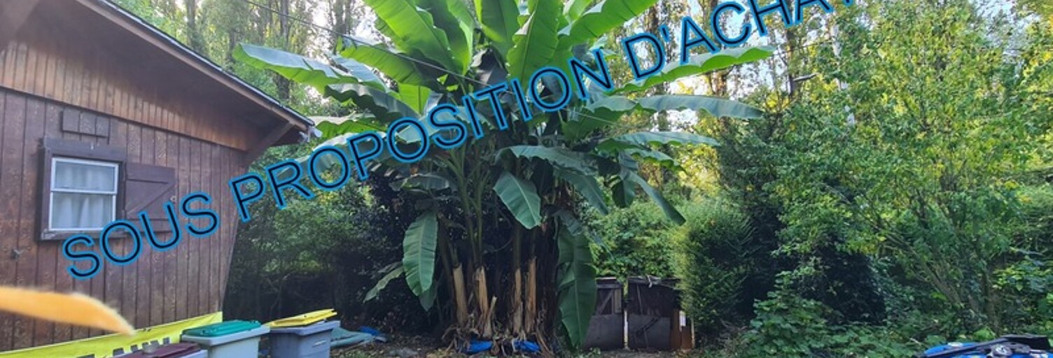 Maison 4 Pièces 50 m² à vendre à Chalifert (77144)