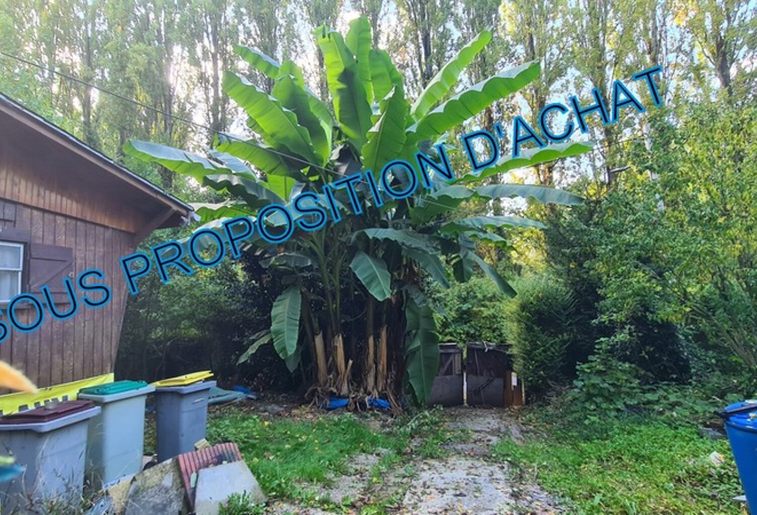 Petite propriété avec une maison et un chalet  à CHALIFERT (77) — photo 1