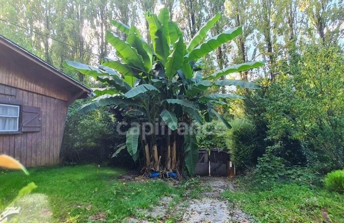 Petite propriété avec une maison et un chalet  à CHALIFERT (77) — photo 2