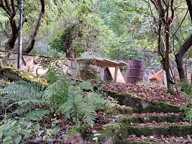 Petite propriété avec une maison et un chalet  à CHALIFERT (77) — photo 4