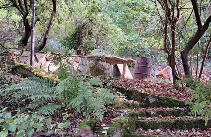 Petite propriété avec une maison et un chalet  à CHALIFERT (77) — photo 4