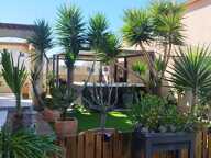 LUNEL NORD, Villa individuelle R+1, 132 M2 SH 3 chambres, séjour, cuisine, garage sur 339M2 terrain — photo 2
