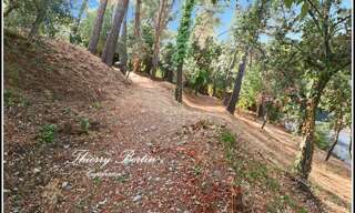 Terrain  1200 m² à vendre à La Gaude (06610)