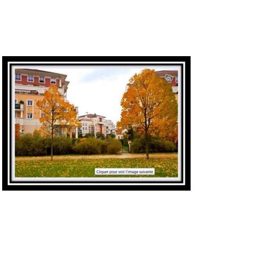 Appartement 3 pièces 1300 €