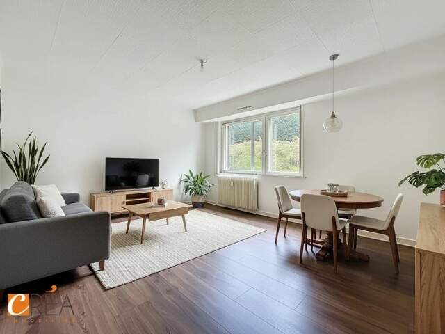 Appartement à vendre mulhouse — photo du bien