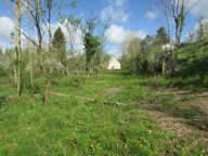 Terrain — photo 2