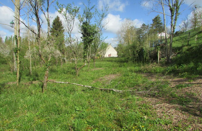Terrain — photo 2