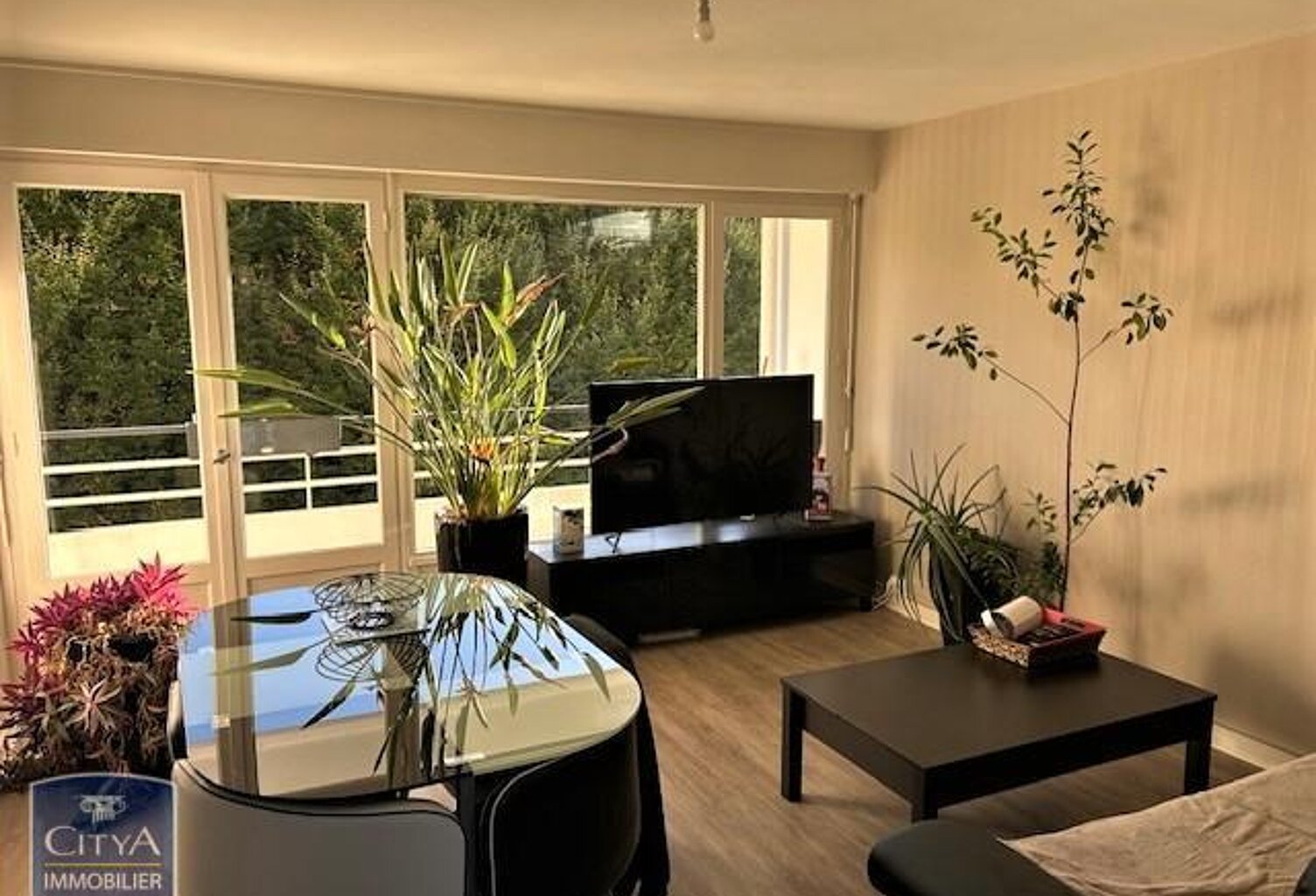 Location appartement 3 pièces 60 m² à Cholet (49300) — photo 1
