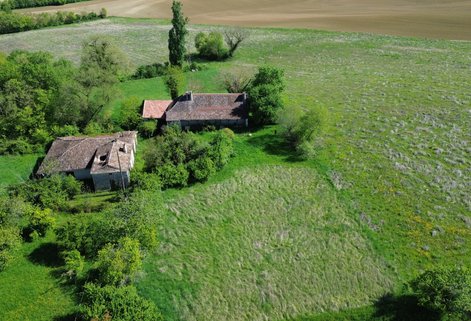 A 15 minutes de Marmande propriété avec 2 hectares de terres — photo 1