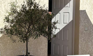 Maison 5 Pièces 120 m² à vendre à Toulouse (31500)