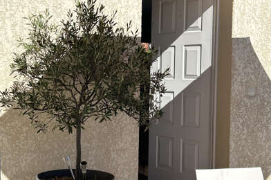 Maison 5 pièces 597000 €