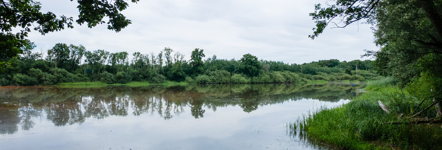 Terrain  78845 m² à vendre à Saint-Léger-Triey (21270)