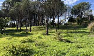 Terrain 1410 m² à construire Grimaud (83310)