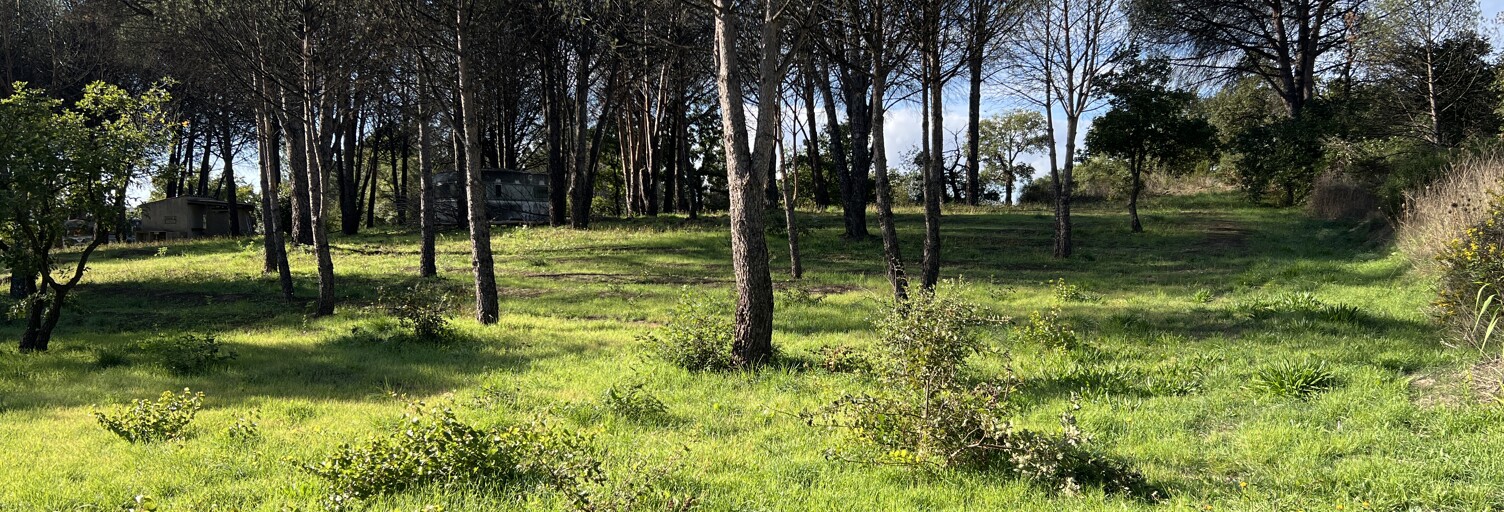 Terrain 1410 m² à construire Grimaud (83310)