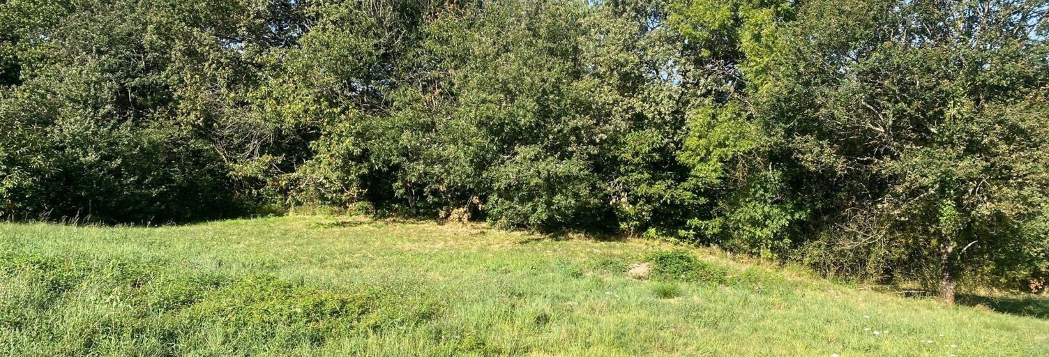 Terrain  2154 m² à vendre à Planioles (46100)