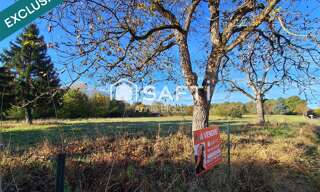 Terrain  9780 m² à vendre à Florent-en-Argonne (51800)