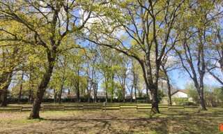 Terrain  6000 m² à vendre à Meschers-sur-Gironde (17132)