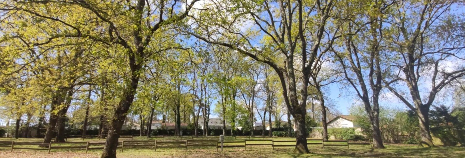 Terrain  6000 m² à vendre à Meschers-sur-Gironde (17132)