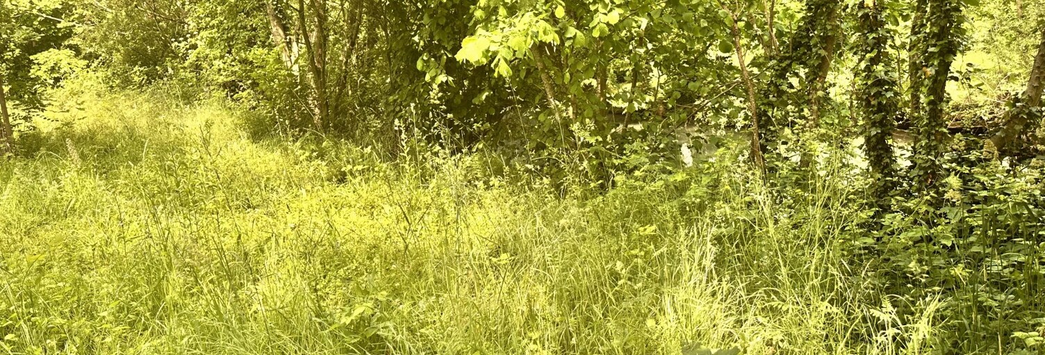 Terrain  485 m² à vendre à Arc-sur-Tille (21560)