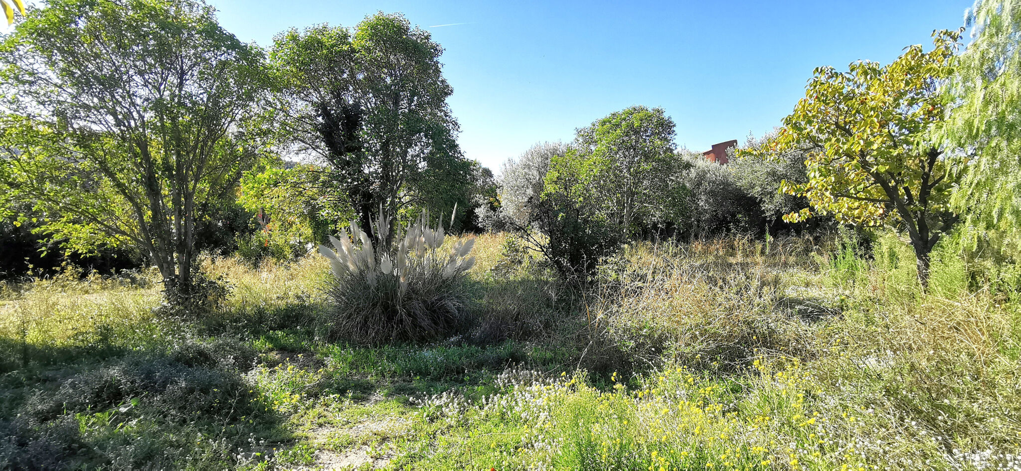 Terrain  à vendre Cassis 13260