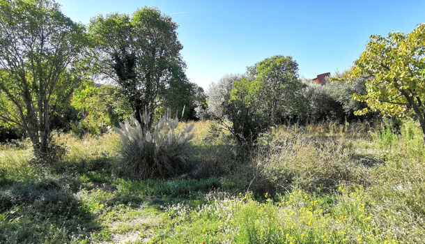 Terrain  à vendre Cassis 13260