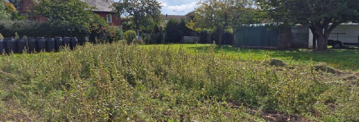 Terrain  550 m² à vendre à La Loupe (28240)