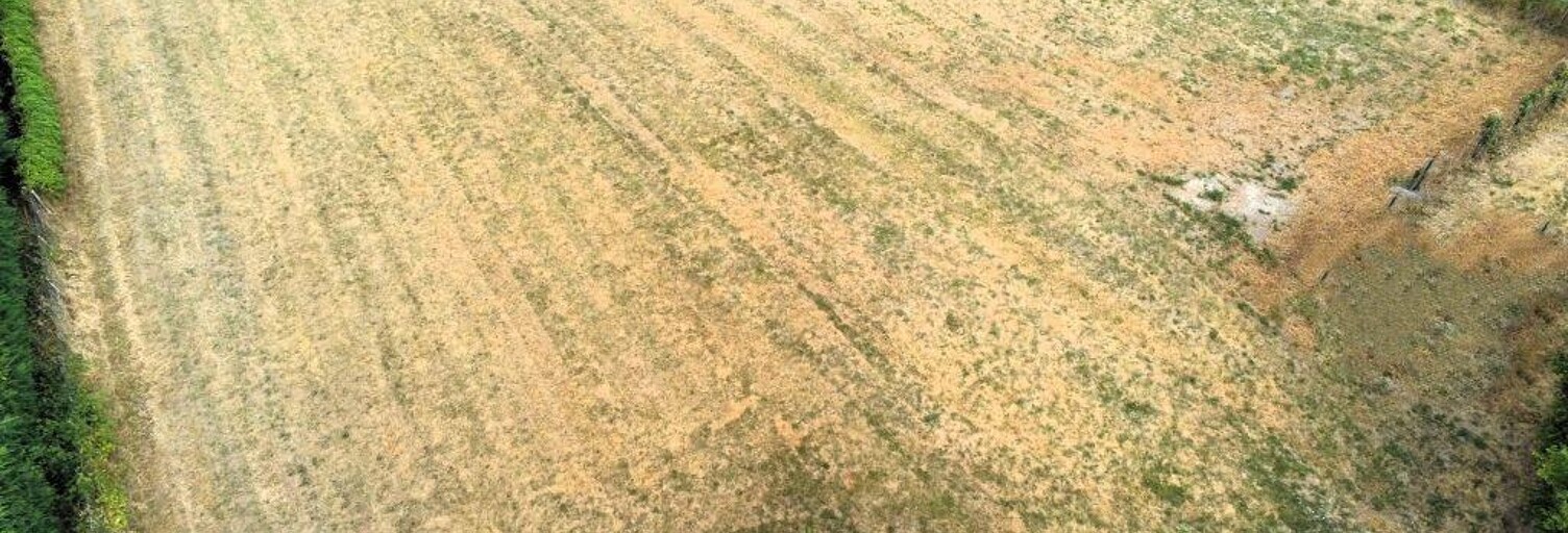 Terrain  1875 m² à vendre à Leigné-sur-Usseau (86230)